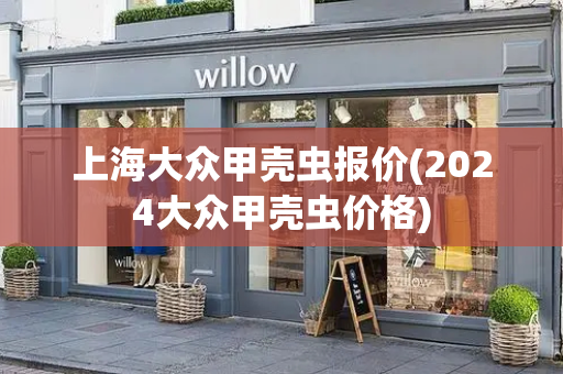 上海大众甲壳虫报价(2024大众甲壳虫价格)