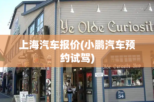 上海汽车报价(小鹏汽车预约试驾)-第1张图片-星选测评