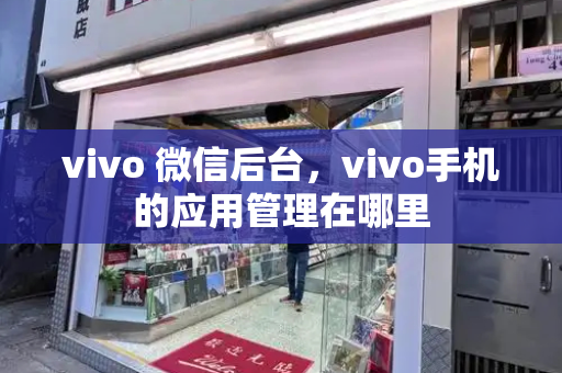 vivo 微信后台，vivo手机的应用管理在哪里-第1张图片-星选测评