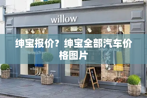 绅宝报价？绅宝全部汽车价格图片