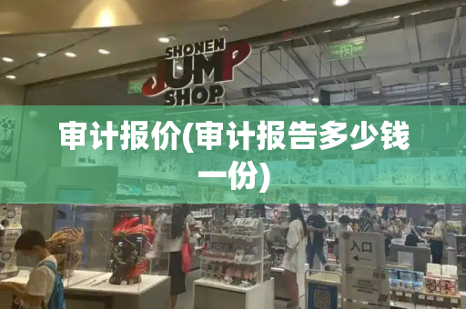 审计报价(审计报告多少钱一份)-第1张图片-星选测评