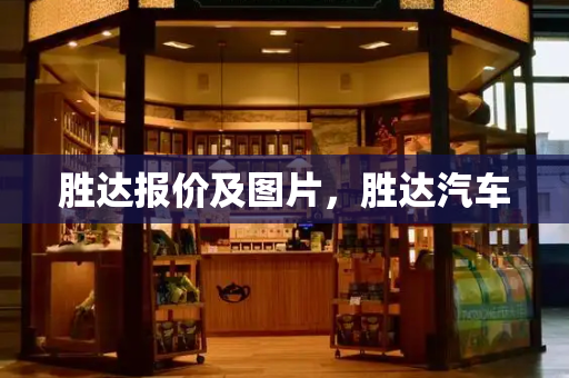 胜达报价及图片，胜达汽车-第1张图片-星选测评