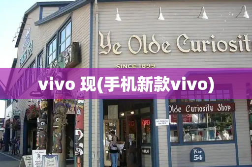 vivo 现(手机新款vivo)