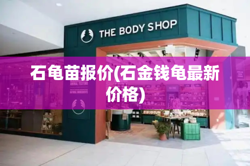 石龟苗报价(石金钱龟最新价格)-第1张图片-星选测评