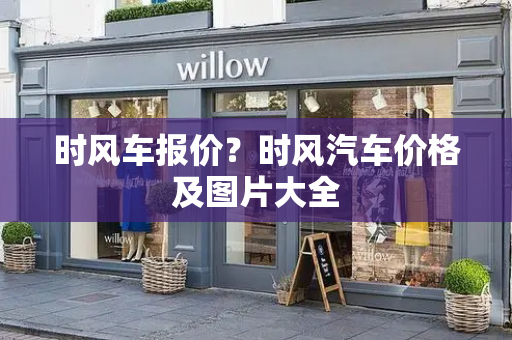 时风车报价？时风汽车价格及图片大全-第1张图片-星选测评
