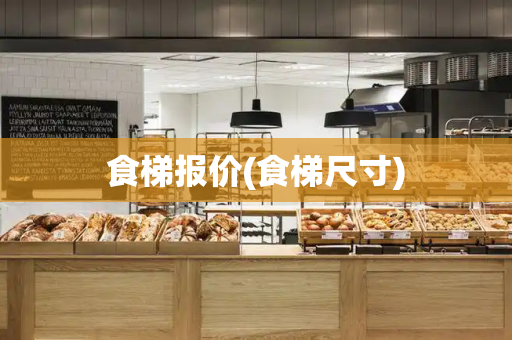 食梯报价(食梯尺寸)-第1张图片-星选测评
