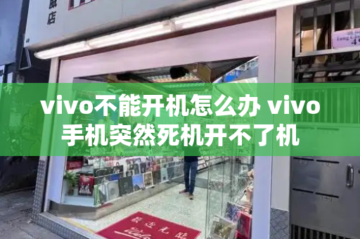 vivo不能开机怎么办 vivo手机突然死机开不了机-第1张图片-星选测评