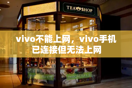 vivo不能上网，vivo手机已连接但无法上网-第1张图片-星选测评