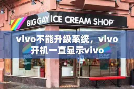 vivo不能升级系统，vivo开机一直显示vivo
