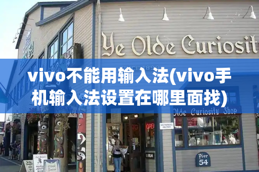 vivo不能用输入法(vivo手机输入法设置在哪里面找)-第1张图片-星选测评
