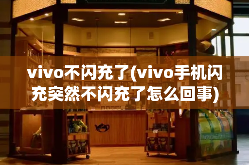 vivo不闪充了(vivo手机闪充突然不闪充了怎么回事)-第1张图片-星选测评