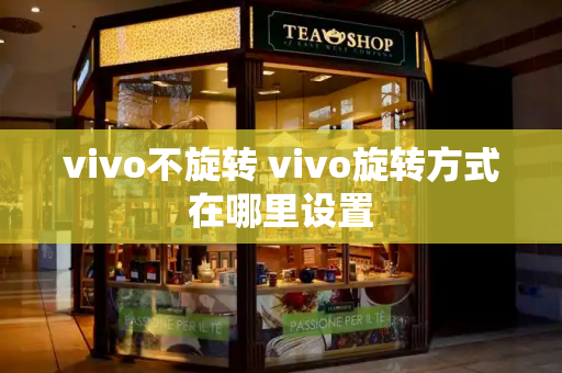 vivo不旋转 vivo旋转方式在哪里设置