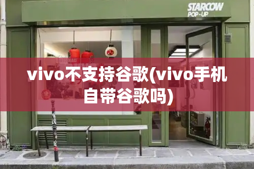 vivo不支持谷歌(vivo手机自带谷歌吗)-第1张图片-星选测评