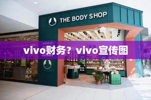 vivo财务？vivo宣传图-第1张图片-星选测评