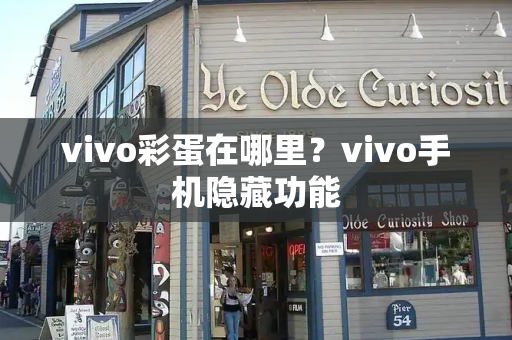 vivo彩蛋在哪里？vivo手机隐藏功能