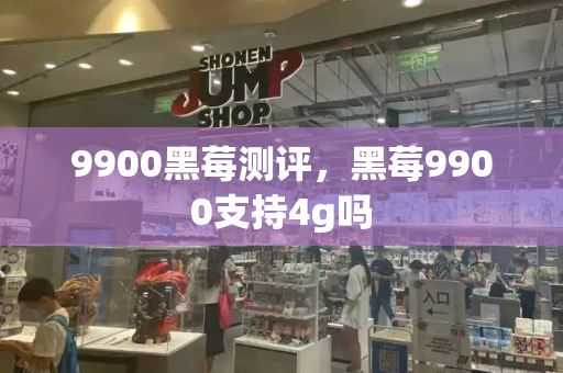 9900黑莓测评，黑莓9900支持4g吗