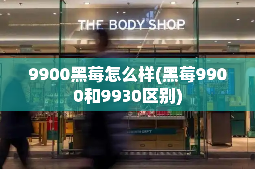 9900黑莓怎么样(黑莓9900和9930区别)-第1张图片-星选测评