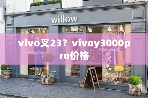 vivo叉23？vivoy3000pro价格