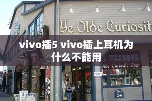 vivo插5 vivo插上耳机为什么不能用