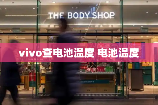 vivo查电池温度 电池温度-第1张图片-星选测评