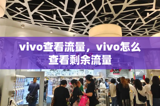 vivo查看流量，vivo怎么查看剩余流量