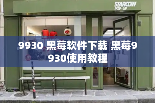 9930 黑莓软件下载 黑莓9930使用教程-第1张图片-星选测评