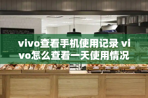 vivo查看手机使用记录 vivo怎么查看一天使用情况