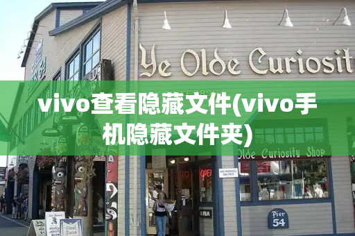 vivo查看隐藏文件(vivo手机隐藏文件夹)