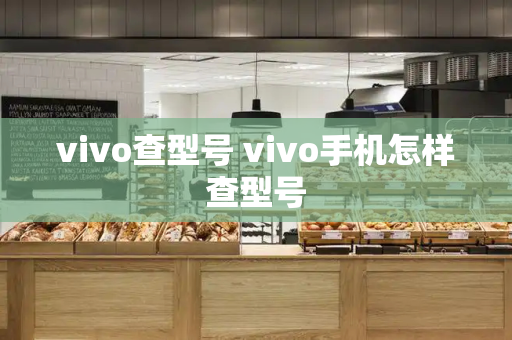 vivo查型号 vivo手机怎样查型号