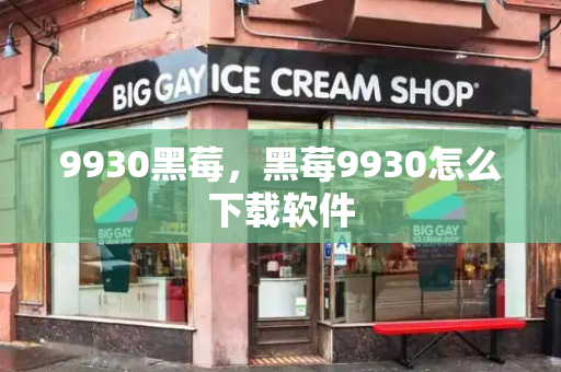 9930黑莓，黑莓9930怎么下载软件