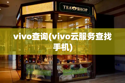 vivo查询(vivo云服务查找手机)-第1张图片-星选测评