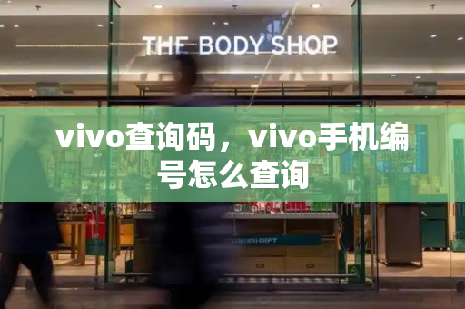 vivo查询码，vivo手机编号怎么查询