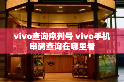 vivo查询序列号 vivo手机串码查询在哪里看