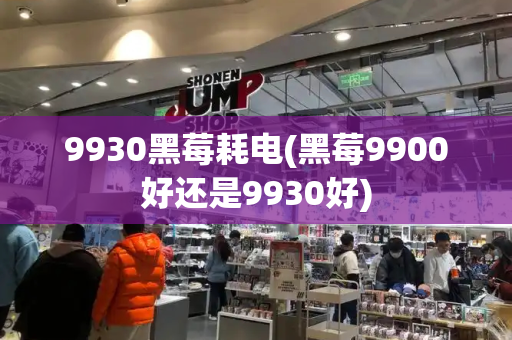 9930黑莓耗电(黑莓9900好还是9930好)