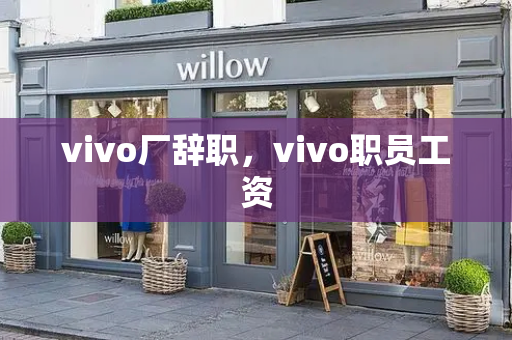 vivo厂辞职，vivo职员工资-第1张图片-星选测评