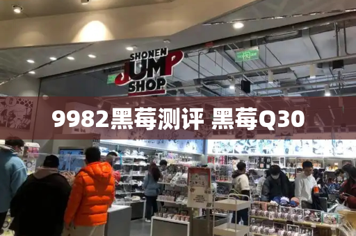 9982黑莓测评 黑莓Q30