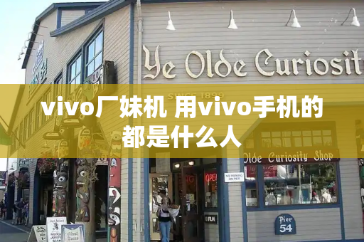 vivo厂妹机 用vivo手机的都是什么人-第1张图片-星选测评
