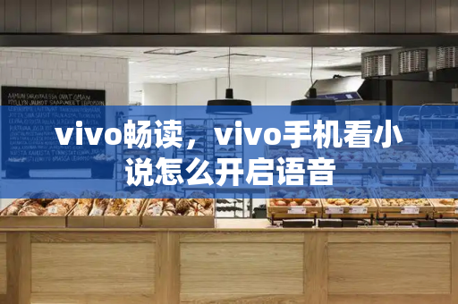 vivo畅读，vivo手机看小说怎么开启语音-第1张图片-星选测评