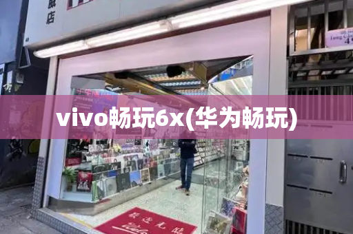 vivo畅玩6x(华为畅玩)