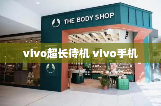 vivo超长待机 vivo手机-第1张图片-星选测评