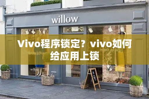 Vivo程序锁定？vivo如何给应用上锁-第1张图片-星选测评