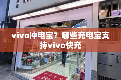vivo冲电宝？哪些充电宝支持vivo快充-第1张图片-星选测评