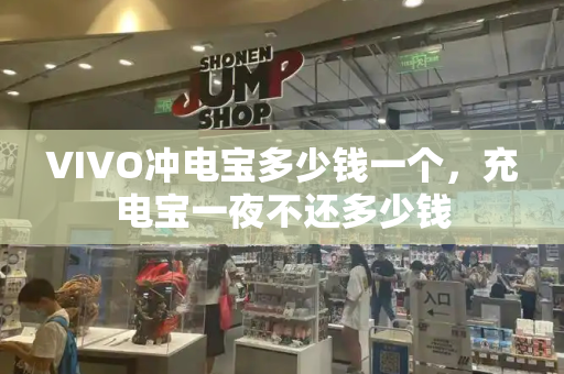 VIVO冲电宝多少钱一个，充电宝一夜不还多少钱-第1张图片-星选测评