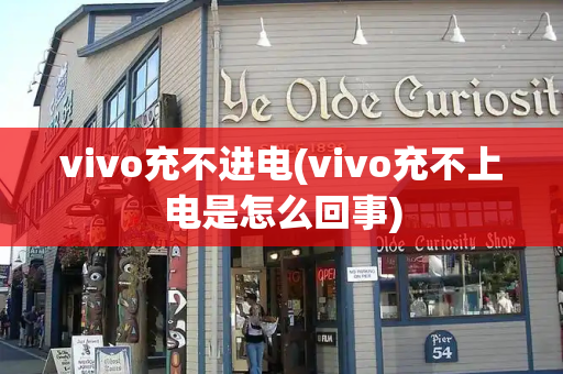 vivo充不进电(vivo充不上电是怎么回事)-第1张图片-星选测评