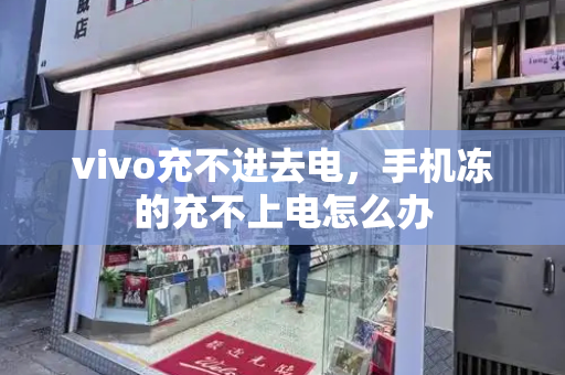 vivo充不进去电，手机冻的充不上电怎么办