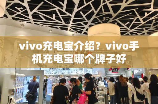 vivo充电宝介绍？vivo手机充电宝哪个牌子好-第1张图片-星选测评