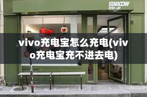 vivo充电宝怎么充电(vivo充电宝充不进去电)-第1张图片-星选测评