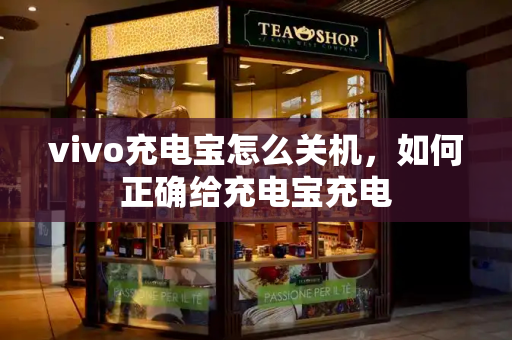 vivo充电宝怎么关机，如何正确给充电宝充电-第1张图片-星选测评