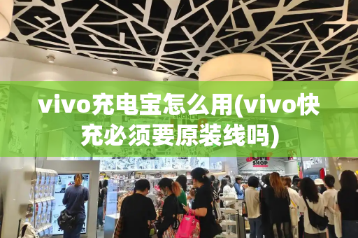vivo充电宝怎么用(vivo快充必须要原装线吗)