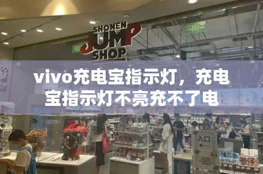 vivo充电宝指示灯，充电宝指示灯不亮充不了电